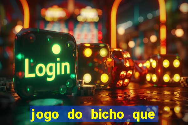 jogo do bicho que paga no pix